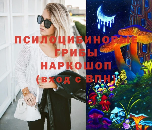 мяу мяу мука Аркадак