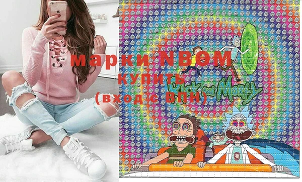индика Армянск